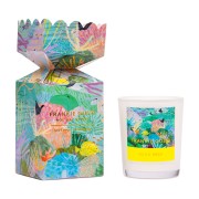 Frankie Gusti | Holiday Series Ornament Candle | Neon Reef Frankie Gusti | Holiday Series Ornament Candle | Neon Reef